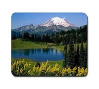 YENDOSTEEN Círculo Redondo Búsqueda de límites Fórmulas matemáticas Ciencia Cálculo Pintado Palo Figura Rectángulo Antideslizante Caucho Alfombrilla