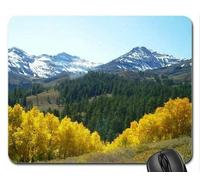 YENDOSTEEN Cojín de ratón Aspen, Alfombrilla de ratón (Montañas) 9,85 x 8,2 Pulgadas (300 mm X 250 mm 2 mm)