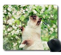 YENDOSTEEN Cojín de ratón, cojín de ratón de la Flor Animal del Gato Himalayan de los Ojos Azules, Estera del ratón para la computadora cat043