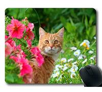 YENDOSTEEN Cojín de ratón, cojín de ratón del Gato del Verano de la Flor Blanca de la Mirada Fija de la Flor del Animal doméstico, Estera del ratón para la computadora cat175