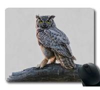 YENDOSTEEN Cojín de ratón cómodo, teoría del búho Contacto con LOS Ojos Impresionante Poder fotografiar, cojín de ratón con Bordes cosidos