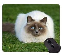 YENDOSTEEN Cojín de ratón con el Borde Cosido, Base de Goma Antideslizante Mousepad de la Hierba del Gato Animal del Himalayan Cat