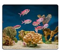 YENDOSTEEN Cojín de ratón CY-2017 Alfombrilla de ráton Alfombrilla de Goma Natural Peces de mar Rosados Hermosos en un Acuario