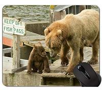YENDOSTEEN Cojín de ratón de Cerdo Animal de Granja, Kodiak Brown Bears Alfombrilla de ratón cómoda para Juegos y Oficina - （Cerdo）