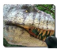 YENDOSTEEN Cojín de ratón de Encargo único Mousepad, cojín de ratón Antiguo del Dinosaurio con el Borde Cosido