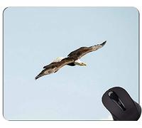 YENDOSTEEN Cojín de ratón de Encargo único Mousepad, cojín de ratón de Eagle Bird Themes con el Borde Cosido