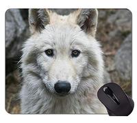 YENDOSTEEN Cojín de ratón de Encargo único Mousepad, Lobo de la fantasía en un Bosque Oscuro del Invierno Alfombrillas de ratón