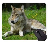 YENDOSTEEN Cojín de ratón de Encargo único Mousepad, Paisaje norteño Colorido con la Estera del cojín de ratón del Lobo del Grito