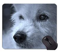 YENDOSTEEN Cojín de ratón de Encargo único Mousepad, Retrato de un cojín de ratón Hermoso del Lobo con los Bordes cosidos