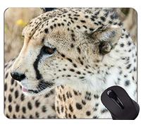 YENDOSTEEN Cojín de ratón de Goma Antideslizante del Juego, Cojines de ratón Animales del Leopardo de la Familia del Gato