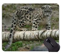 YENDOSTEEN Cojín de ratón de Goma Antideslizante del Juego, Cojines de ratón del Leopardo de la Familia del Gato del Leopardo de Nieve