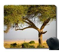 YENDOSTEEN Cojín de ratón del Juego de Yanteng Aduana, cojín de ratón Animal de la Jirafa del árbol de África Frontera Cosida