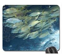 YENDOSTEEN Cojín de ratón del Juego del Paisaje de la Naturaleza, cojín de ratón de los Pescados del filón, cojín de ratón (cojín de ratón de los océanos)