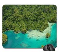 YENDOSTEEN Cojín de ratón del Juego del Paisaje de la Naturaleza, Islas de Raja Ampat, Indonesia Cojín de ratón, cojín de ratón (cojín de ratón de los océanos)