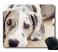 YENDOSTEEN Cojín de ratón del Juego, Perro de Great Dane del Perro del Malamute de Alaska, Costura de la precisión, cojín de ratón Durable