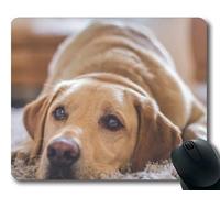 YENDOSTEEN Cojín de ratón del Perrito del Perro Mousepad, Animales Cojín de ratón del Perrito del Golden Retriever del Perro Gatito YT de Goma 031