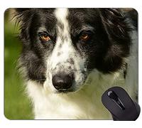 YENDOSTEEN Cojín de ratón del Perro del Amigo del Pastor alemán, Collie Alfombrillas de ratón