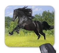 YENDOSTEEN Cojín de ratón/Estera Un espléndido Caballo Negro Que Corre en la Hierba Mousepad Rectángulo Antideslizante Alfombrillas de Goma Gaming Mouse Pad M0538