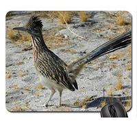 YENDOSTEEN Cojín de ratón Fresco Hermoso del pájaro, el cojín de ratón Verdadero del Roadrunner, Alfombrilla de ráton