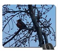 YENDOSTEEN ¡Cojín de ratón Fresco Hermoso del pájaro, Primer Signo de la Primavera! Alfombrilla de ratón, Mouse Pad