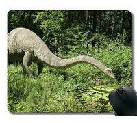 YENDOSTEEN Cojín de ratón Original de Encargo de la Serie del Leopardo, cojín de ratón fósil de Dinos del Dinosaurio con el Borde Cosido