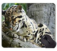 YENDOSTEEN Cojín de ratón Original de Encargo de la Serie del Leopardo, Cojines de ratón soñolientos del Leopardo de la Familia del Gato