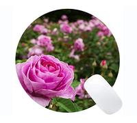 YENDOSTEEN Cojín de ratón Redondo del rectángulo, Flor de la Rosa de la Rosa de la Naturaleza florece - Bordes cosidos