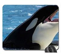 YENDOSTEEN Cojín de ratón temático del Juego de los Pescados, Ballena de Asesino - cojín de ratón del Agua, Mousepad