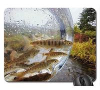 YENDOSTEEN Cojín de ratón temático del Juego de los Pescados, salmones y Trucha, cojín de ratón de Alaska, Mousepad