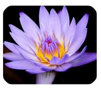 YENDOSTEEN Colorido Hermosa Fantasía Encantadora Arte Único Flor Linda Agua NINFA Loto Aceite Acuarela Pintura Rectángulo Mousepad Personalizar Mousepad