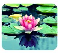 YENDOSTEEN Colorido Hermosa Fantasía Encantadora Arte Único Flor Linda Agua NINFA Loto Aceite Acuarela Pintura Rectángulo Mousepad Personalizar Mousepad
