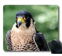 YENDOSTEEN Cómoda Alfombrilla de ratón, Ojos de búho del Tatuaje Wanderfalke Falco peregrinus Peregrine Falcon, Alfombrilla de ratón con Bordes cosidos