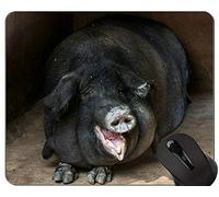 YENDOSTEEN Cut Pig Mousepad, Hog Mouse Pads