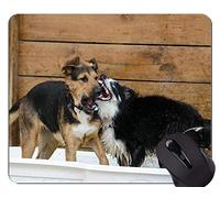YENDOSTEEN Cute Dog Puppy Lie On The Ground Alfombrilla de ratón, Border Collie Alfombrilla de Goma