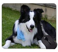 YENDOSTEEN Cute Dog Puppy Lie On The Ground Alfombrilla de ratón, Border Collie Alfombrillas De Raton