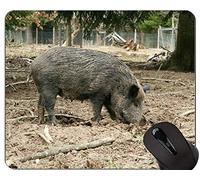 YENDOSTEEN Cute Pig Customized Design Extended Gaming Mouse Pads, Jabalí Impreso con un Adorable Cerdito
