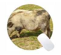 YENDOSTEEN Cute Pig Diseño Personalizado Extended Gaming Round Mouse Pads, Big New Year of Pig Gaming Round Mouse Pad
