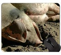 YENDOSTEEN Diseño Animal Cute Baby Pig Mousepad, Bentheimer Country Pig Mouse Pad con Bordes cosidos
