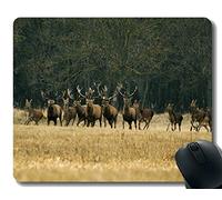 YENDOSTEEN Diseño de Alfombrillas de ratón para Juegos, Ciervo Corrido de Animales - Bordes cosidos