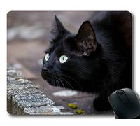 YENDOSTEEN Estera del ratón, cojín de ratón del Gato de la Mirada Fija del Animal doméstico, Estera del ratón para la computadora cat180