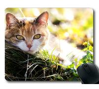 YENDOSTEEN Estera del ratón, cojín de ratón del Gato de la Mirada Fija del Animal doméstico, Estera del ratón para la computadora cat184