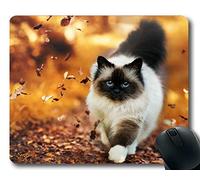 YENDOSTEEN Estera del ratón del Juego, cojín de ratón Azul de la Naturaleza del Gato de la Naturaleza del Gato del Himalayan de los Ojos Azules, Estera del ratón para la computadora cat042