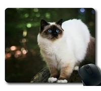 YENDOSTEEN Estera del ratón del Juego, cojín de ratón defocused Animal del Gato del Himalayan, Estera del ratón para la computadora cat098