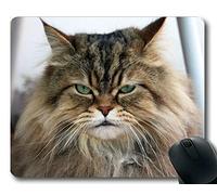 YENDOSTEEN Estera del ratón del Juego, cojín de ratón del Gato de la Mirada Fija del Animal doméstico, Estera del ratón para la computadora cat182