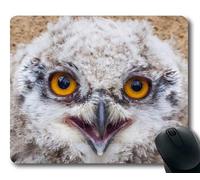 YENDOSTEEN Estera del ratón, Finales del búho Joven búho de águila de Virginia Buho de águila eurasiático búho de águila Europeo, cojín de ratón con los Bordes cosidos