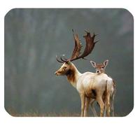YENDOSTEEN Familia de venado Personalizada Personalizada Duradera y Mousepad de Oficina