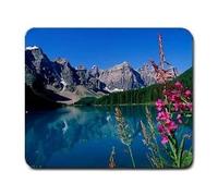 YENDOSTEEN Fórmula matemática Ciencia Cálculo Palo Pintado Figura Rectangle Goma Antideslizante Alfombrilla