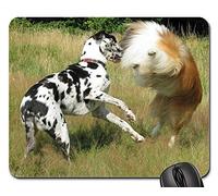YENDOSTEEN Gaming Alfombrillas de ratón, Alfombrilla de ratón, Rough Collie Collie Great Dane Lassie Dog Dogs
