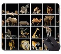 YENDOSTEEN Gaming Mouse Pad, Animal World Cat Family Leopard Mouse Pads