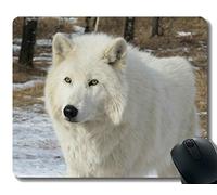 YENDOSTEEN Gaming Mouse Pad Custom, Arctic Wolf Wildlife Predator Wolf Antideslizante Gaming Mouse Pad
